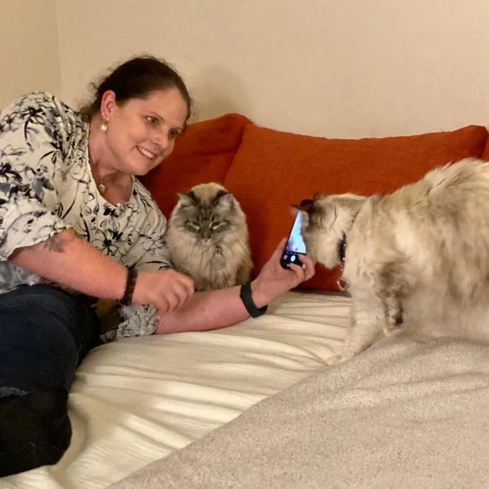 Your Cat's New Favorite Person