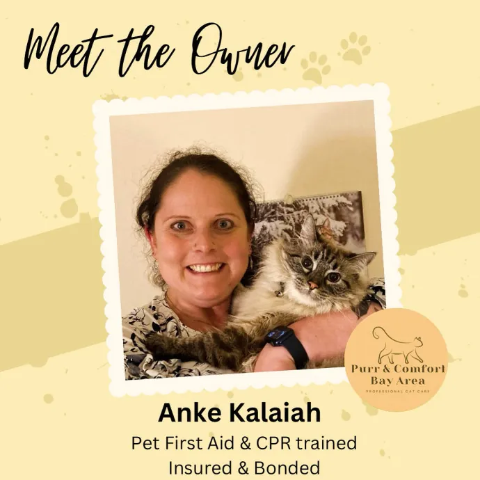 Your Cat's New Favorite Person