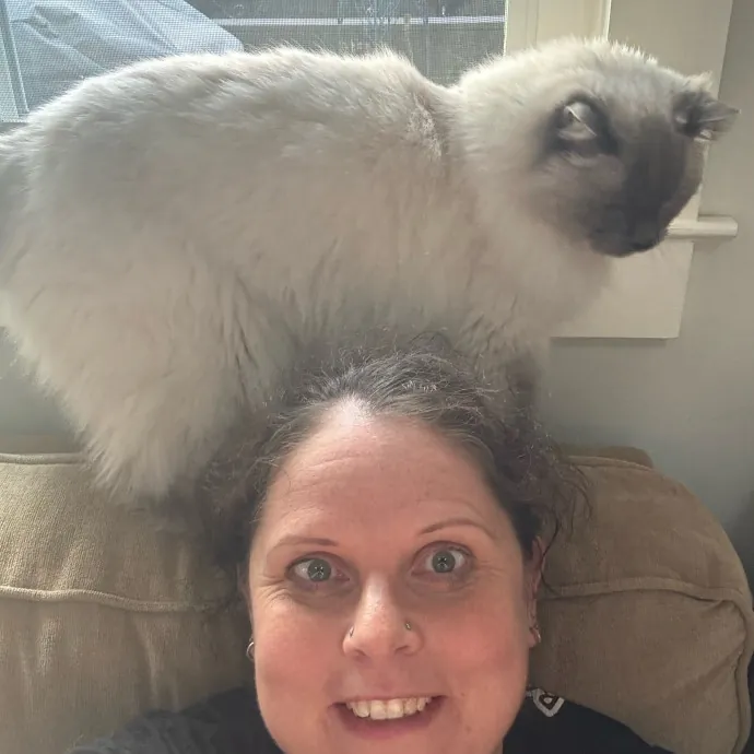 Your Cat's New Favorite Person