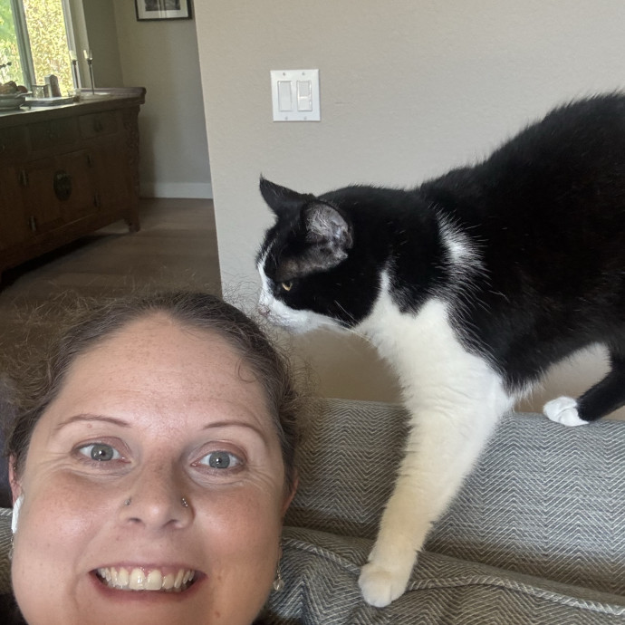 Your Cat's New Favorite Person