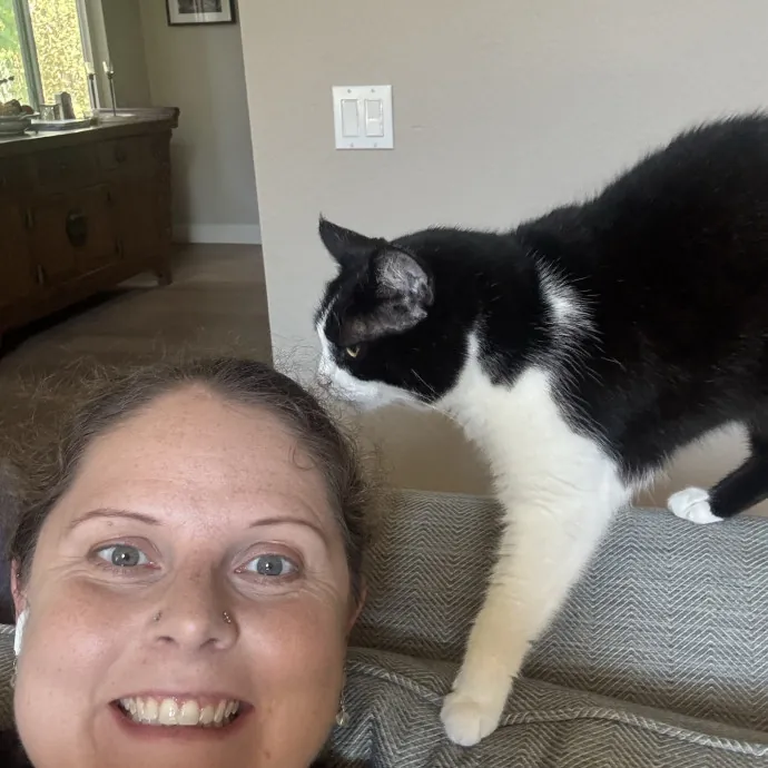 Your Cat's New Favorite Person