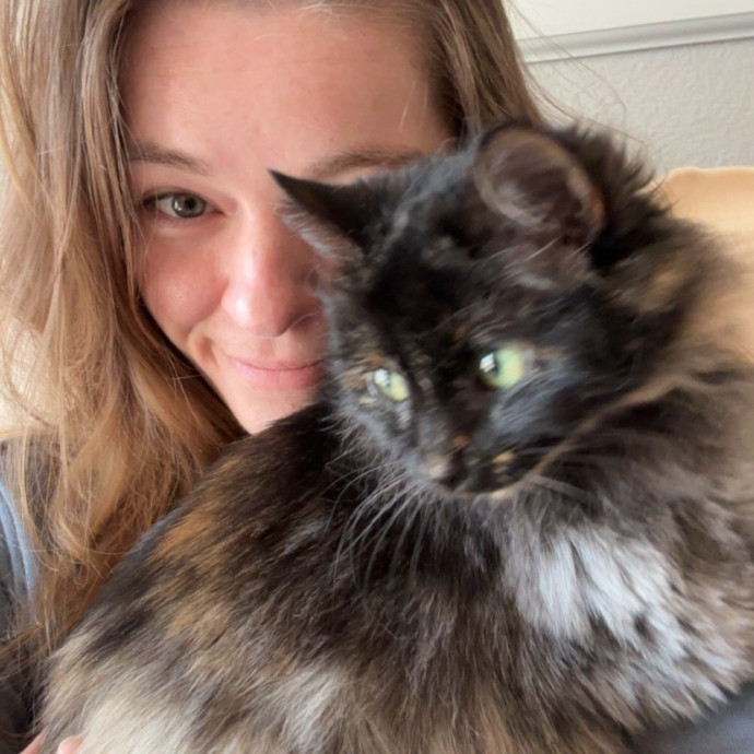 Cats And Reading