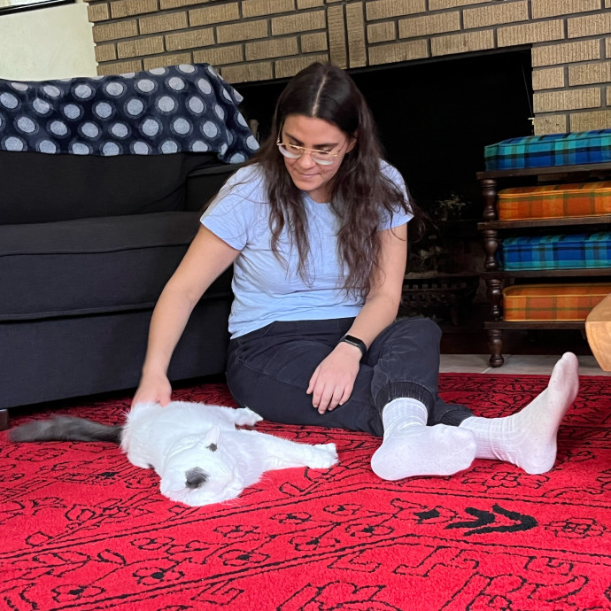Zen Cat Sanctuary