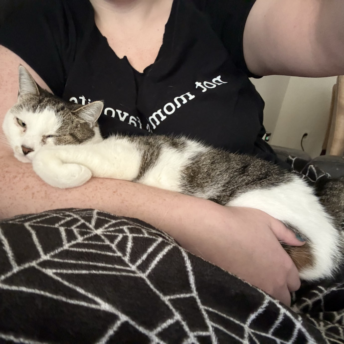 Please Tell Your Cat I Love Them