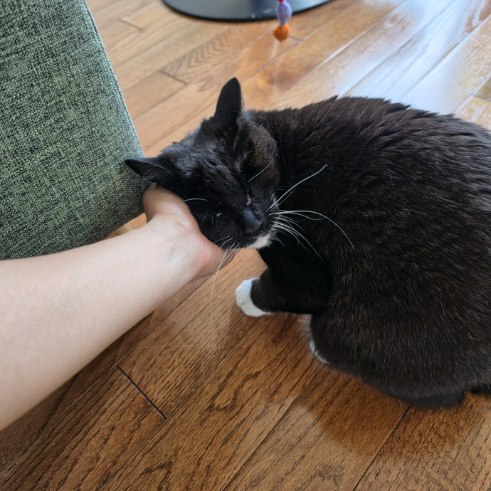Mel Meow