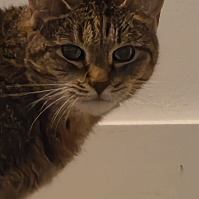 Mel Meow photo 2