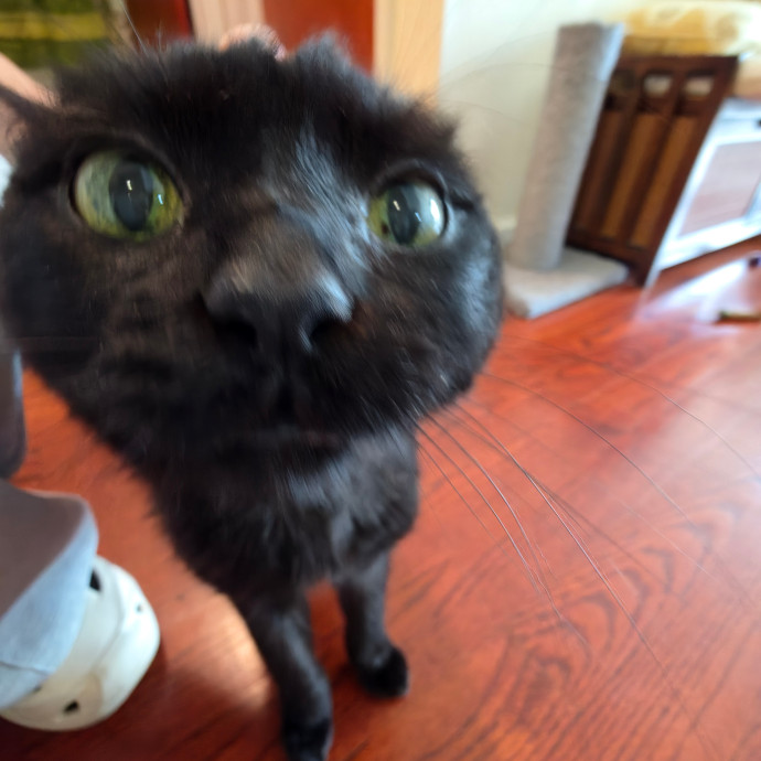 Mel Meow photo 2