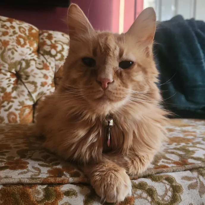 The Best Care For Your Best Friends