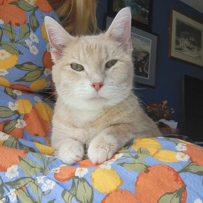 The Best Care For Your Best Friends