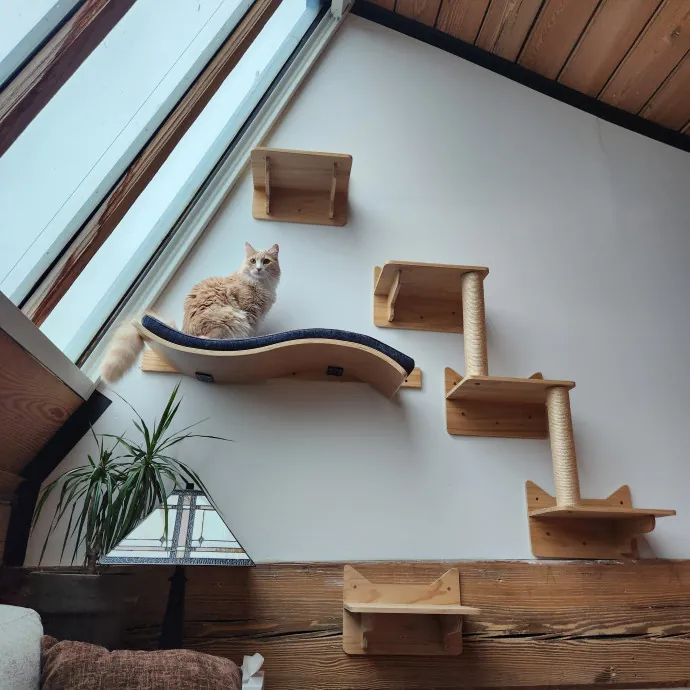 The Best Care For Your Best Friends