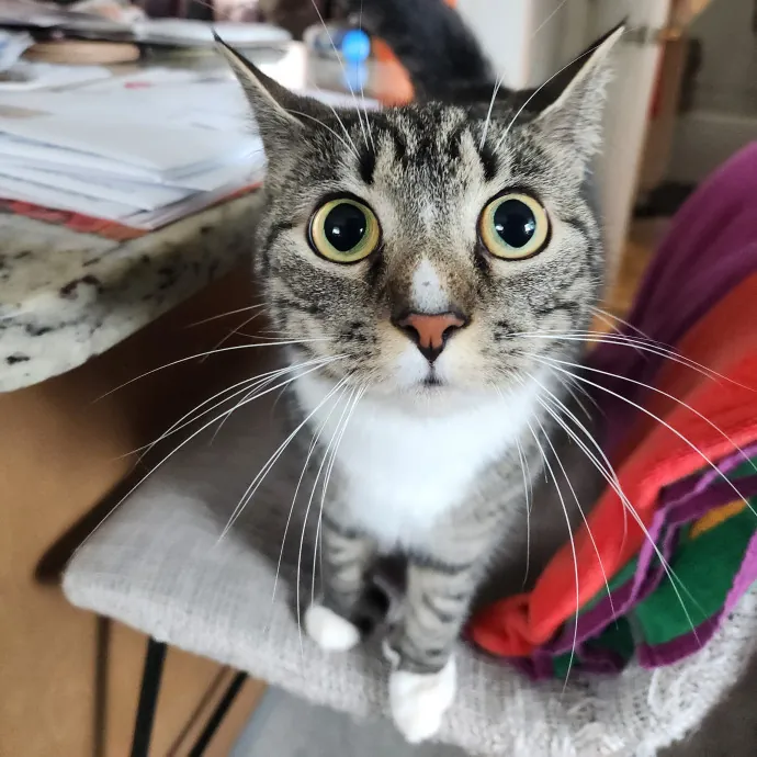 The Best Care For Your Best Friends