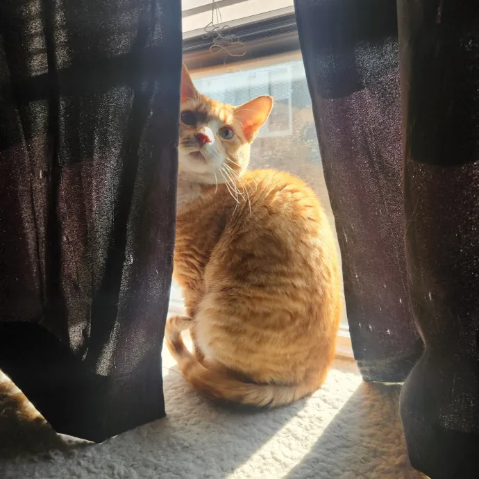 The Best Care For Your Best Friends