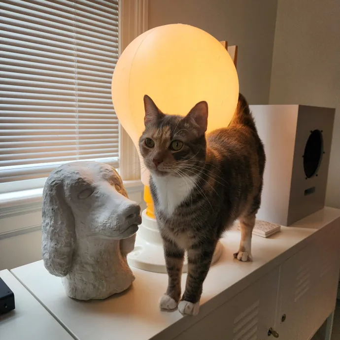 The Best Care For Your Best Friends