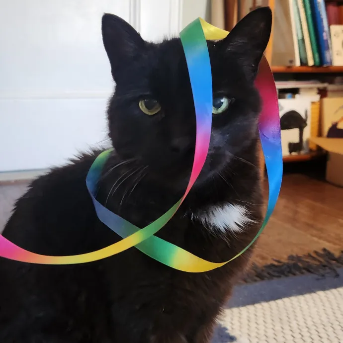 The Best Care For Your Best Friends