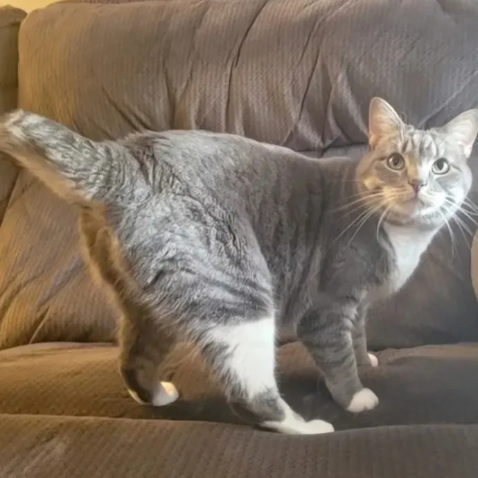 The Best Care For Your Best Friends