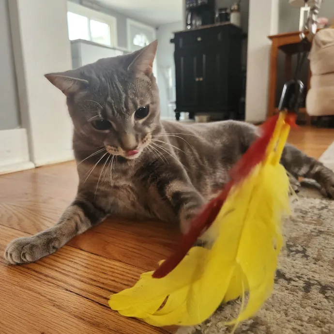 The Best Care For Your Best Friends