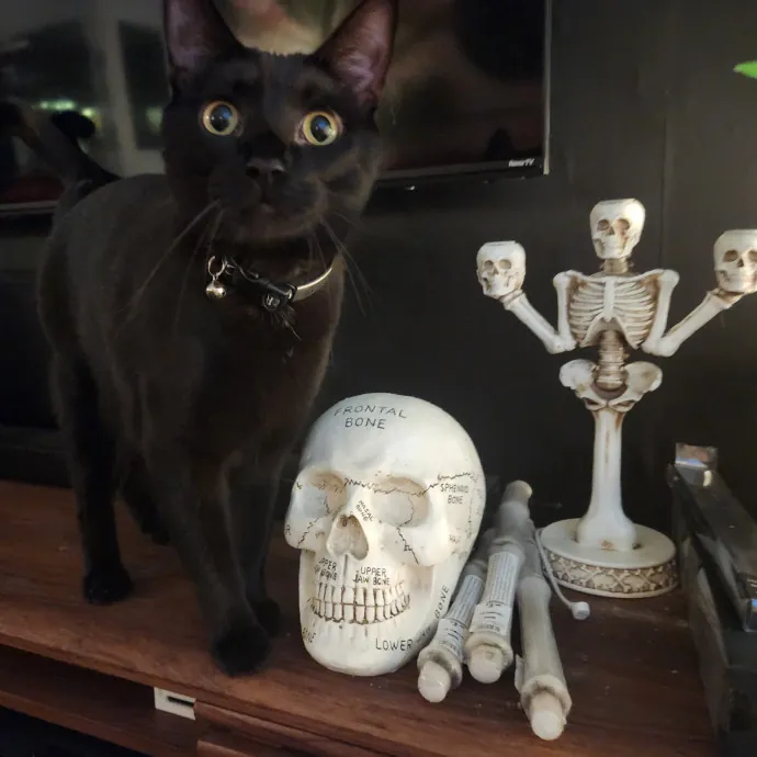 The Best Care For Your Best Friends