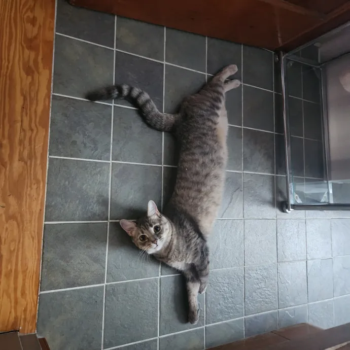 The Best Care For Your Best Friends