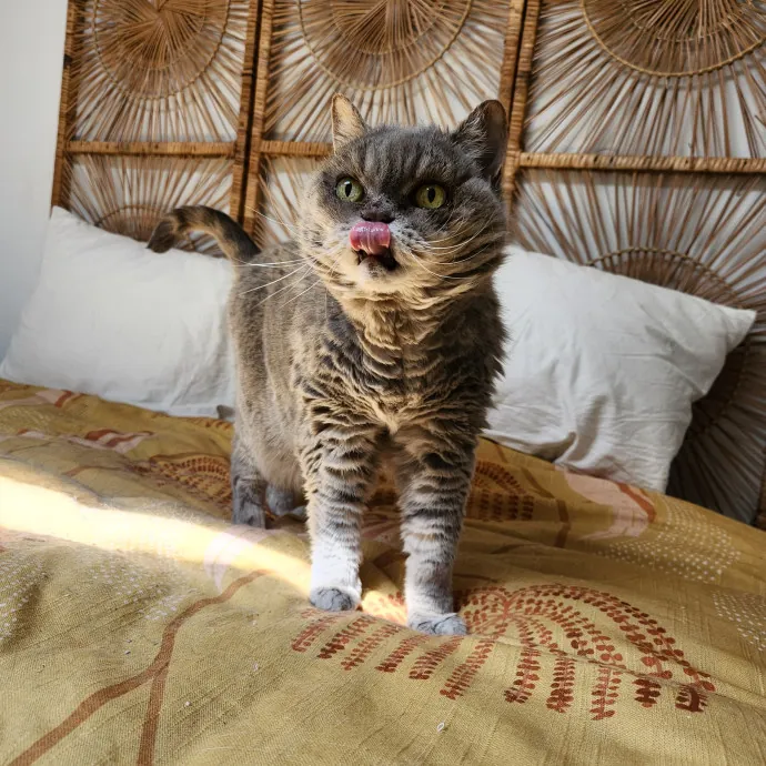 The Best Care For Your Best Friends