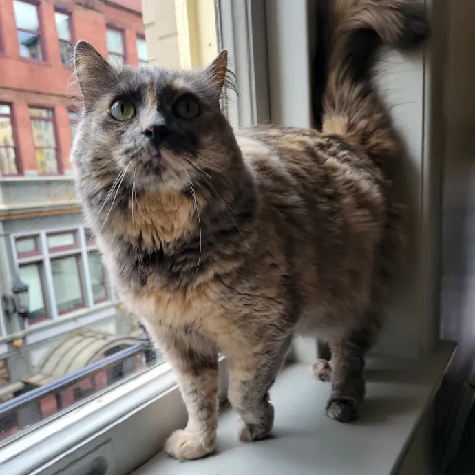 The Best Care For Your Best Friends