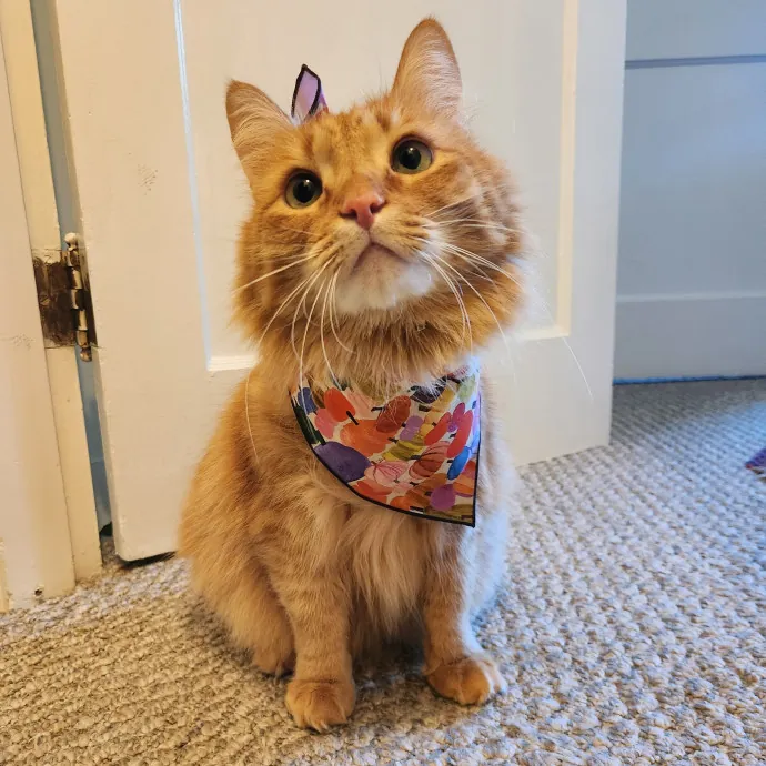 The Best Care For Your Best Friends