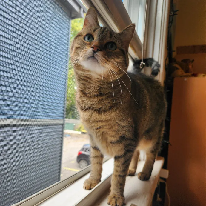 The Best Care For Your Best Friends