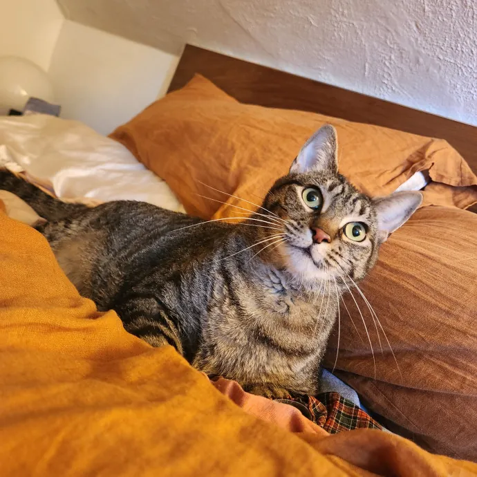 The Best Care For Your Best Friends