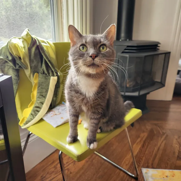 The Best Care For Your Best Friends