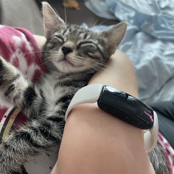 Cat Mom And Former Foster Parent