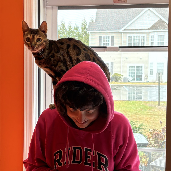 Certified Cat Lady