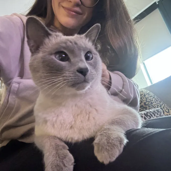 Hollywood's Pawsome Care