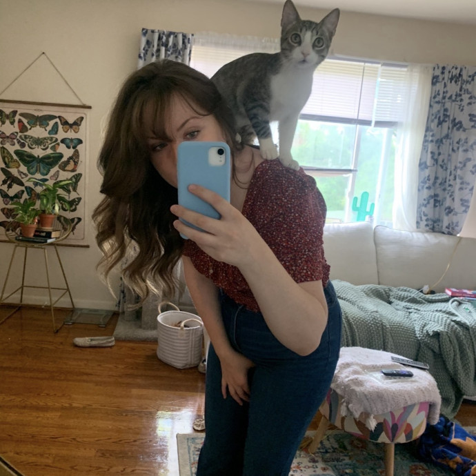 Psst Psst Come Here Kitty Sitting 