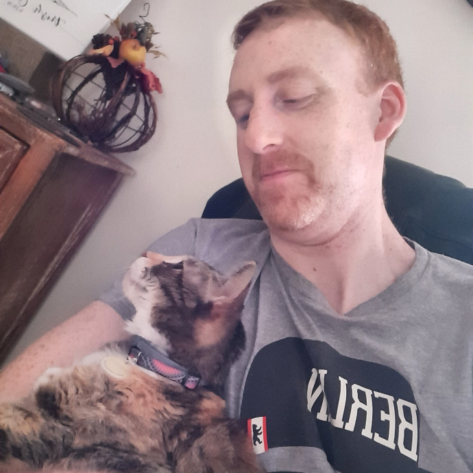 The Purrfect Sitter photo 3