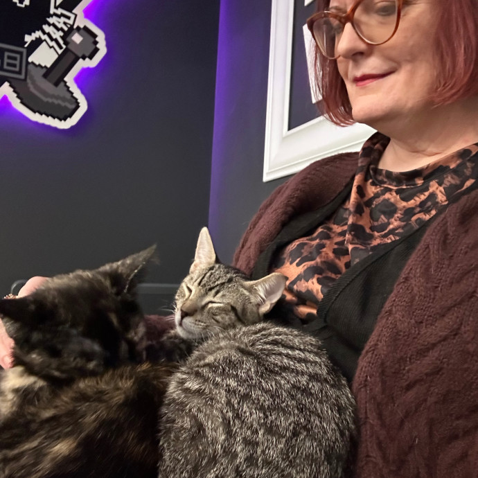 Experienced Chicago South Side Catsitter