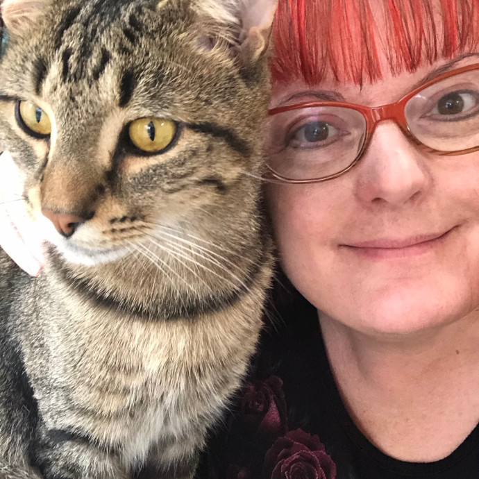 Experienced Chicago South Side Catsitter