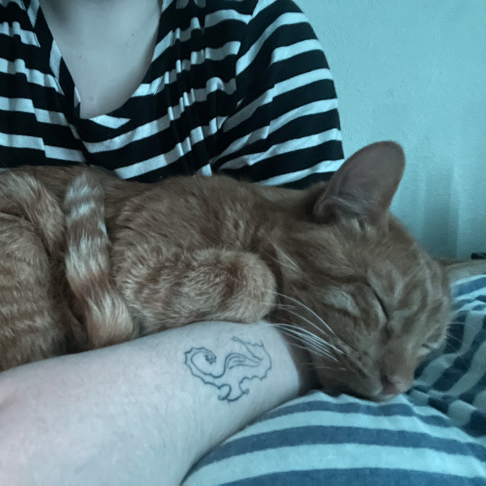 Your Cat's Second Favorite Person