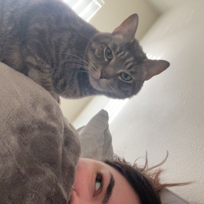Your Cat's Second Favorite Person