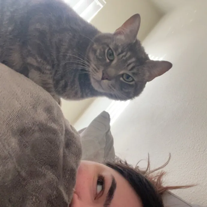 Your Cat's Second Favorite Person
