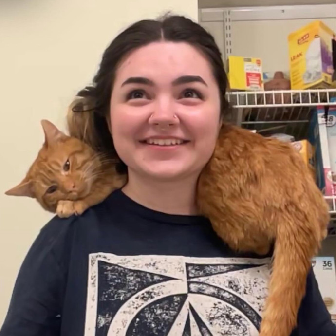 Your Cat's Second Favorite Person