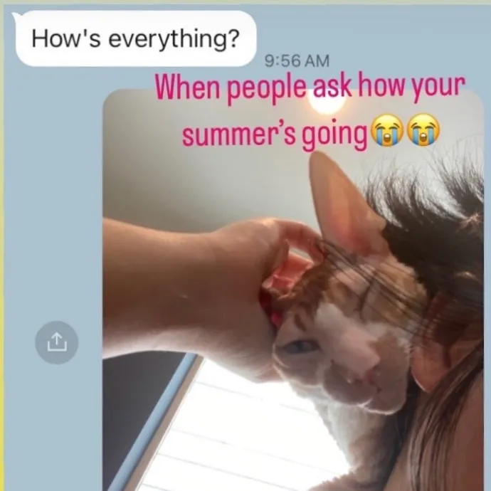 Auntie Christine's Customized Cat Care