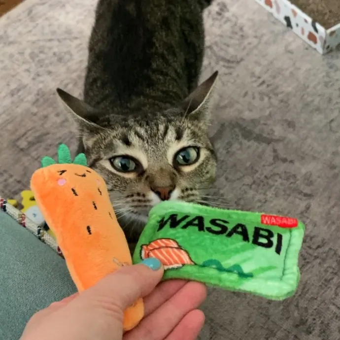 Auntie Christine's Customized Cat Care