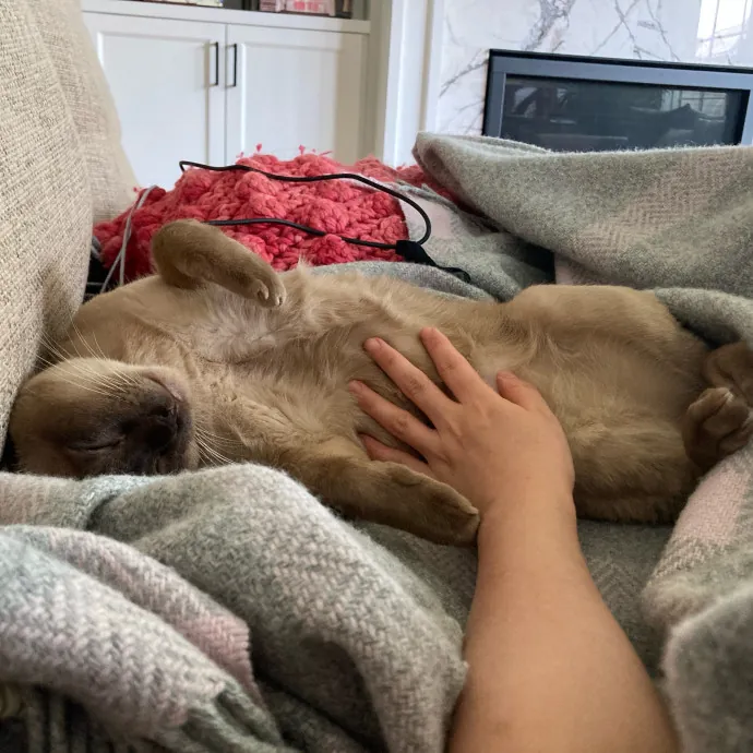 Auntie Christine's Customized Cat Care