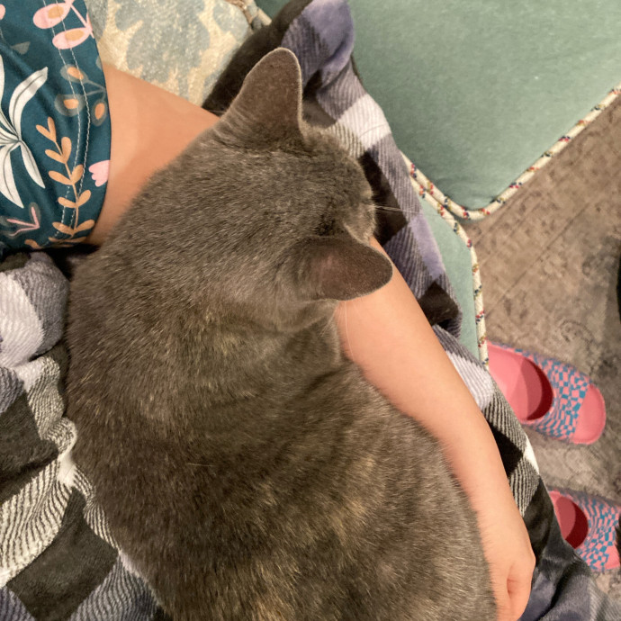 Auntie Christine's Customized Cat Care