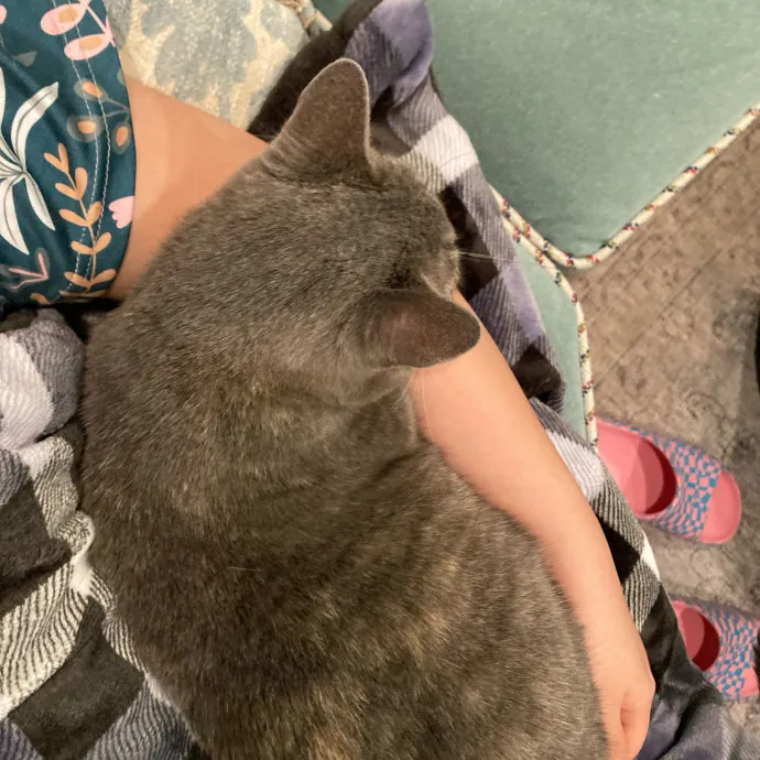 Auntie Christine's Customized Cat Care