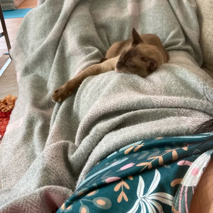 Auntie Christine's Customized Cat Care