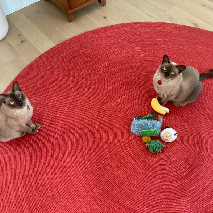 Auntie Christine's Customized Cat Care