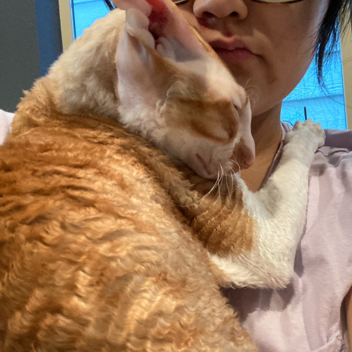 Auntie Christine's Customized Cat Care