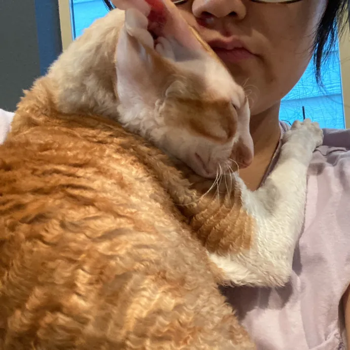 Auntie Christine's Customized Cat Care