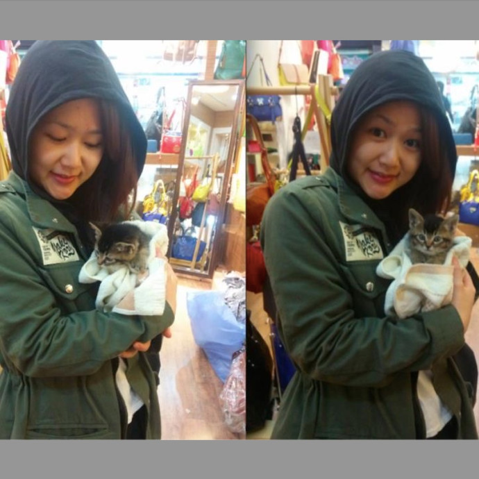 Auntie Christine's Customized Cat Care photo 3