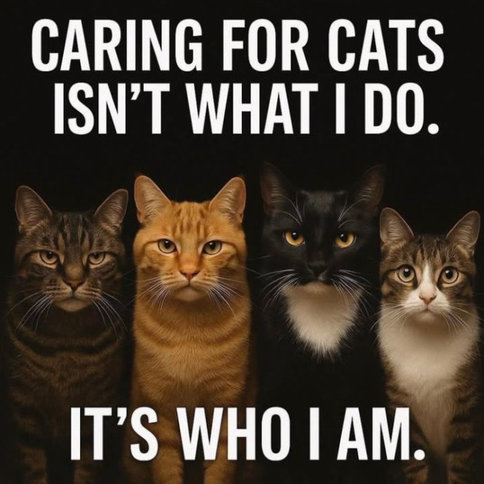 Auntie Christine's Customized Cat Care photo 2